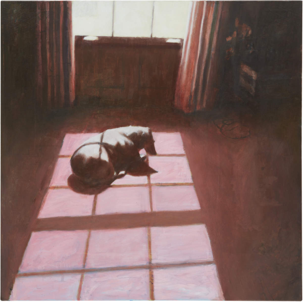 Florian Thomas - lugar do sol