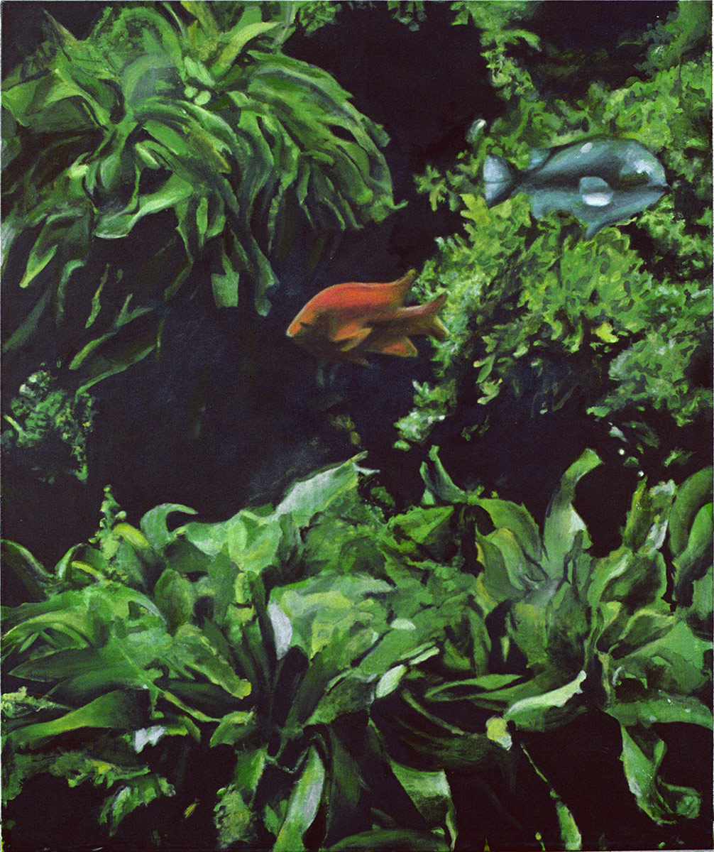 Florian Thomas - Garibaldi der Salzwassergoldfisch