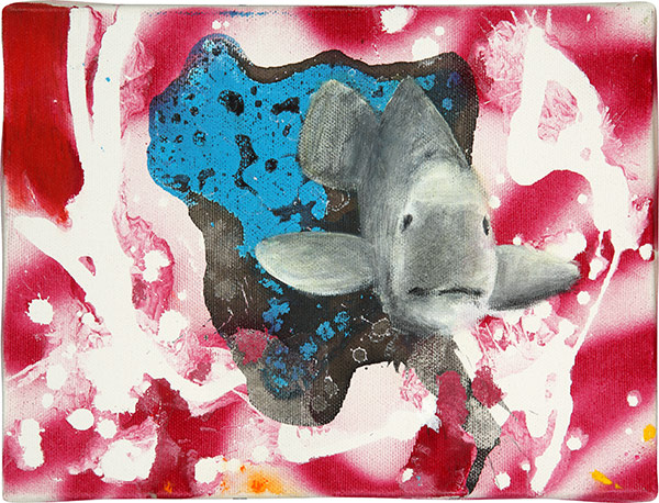 Florian Thomas - Märchenland der Korallen