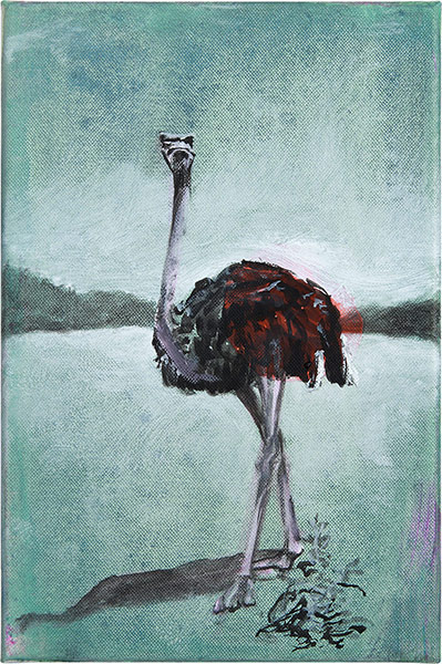 Florian Thomas - AFRICAN OSTRICH