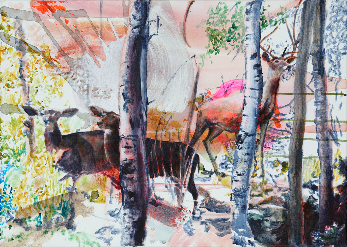 Florian Thomas- Maultierhirsche