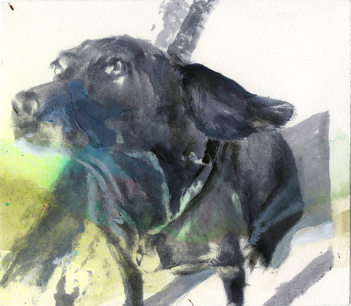 Florian Thomas - Emma