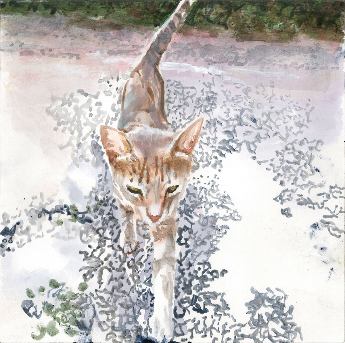 Florian Thomas - Gatto