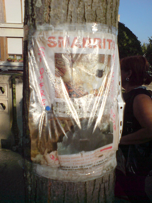 Florian Thomas - Photography