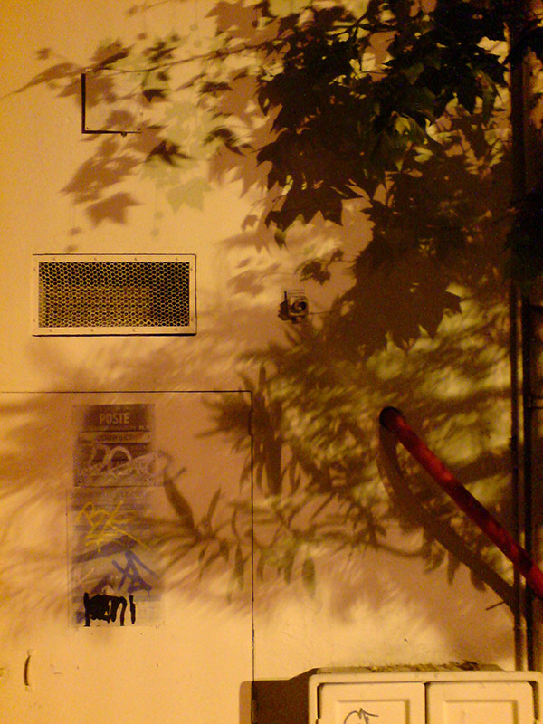 Florian Thomas - Photography