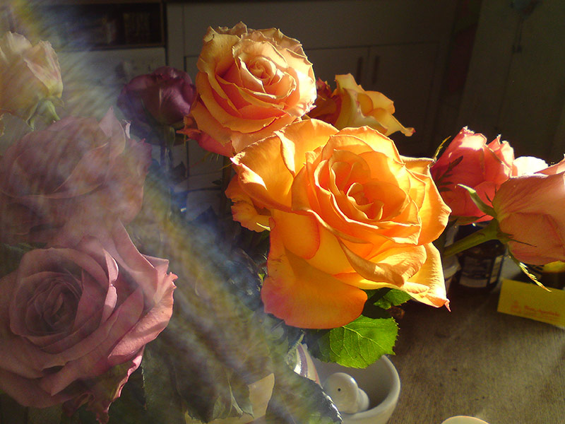 Florian Thomas - Photography