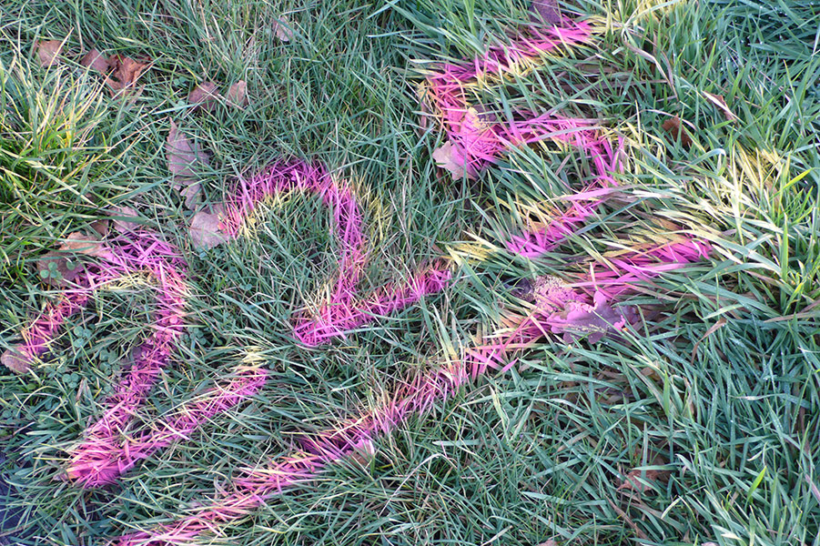 Florian Thomas - Photography