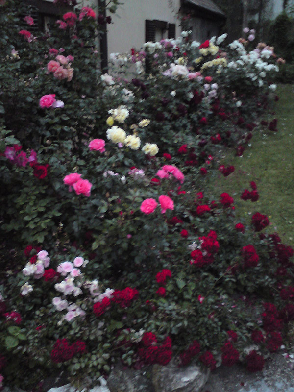 Florian Thomas - Photography