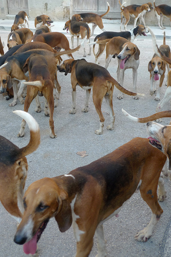 Florian Thomas - Photography