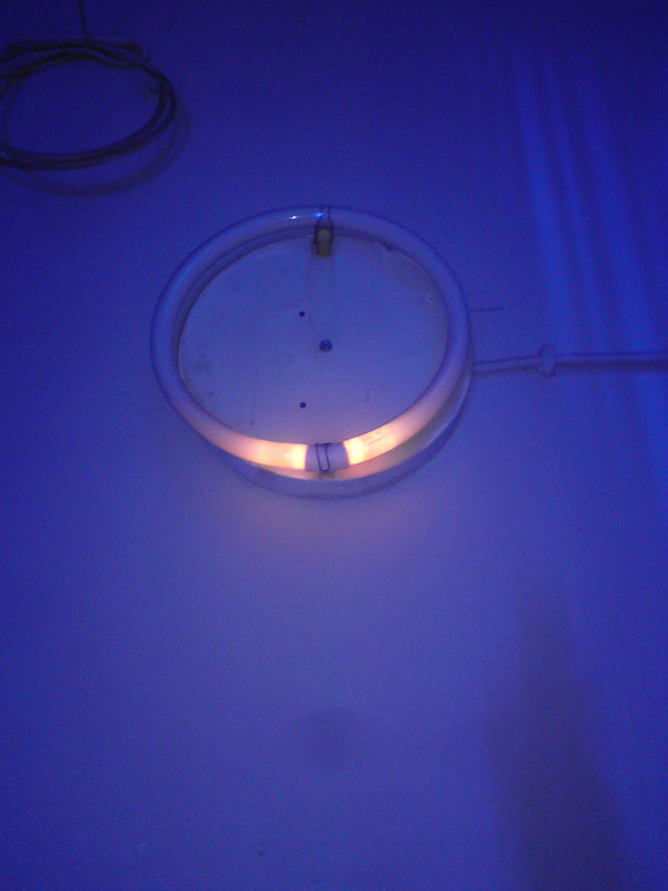 Florian Thomas - Photography