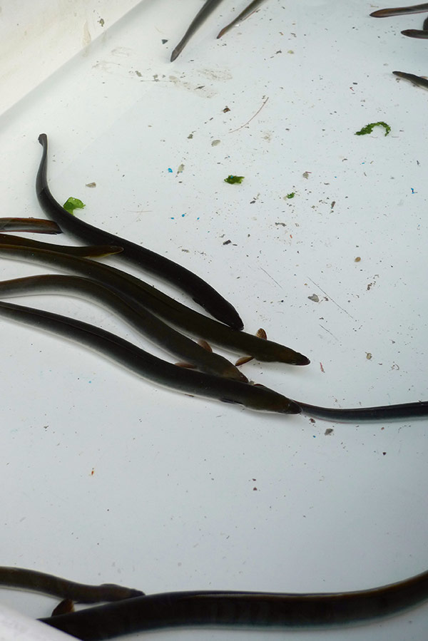 Florian Thomas - Photography