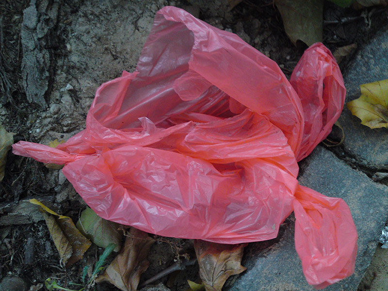 Florian Thomas - Photography