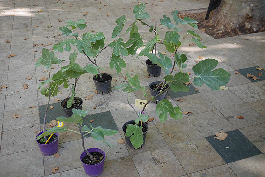 Florian Thomas - Photography