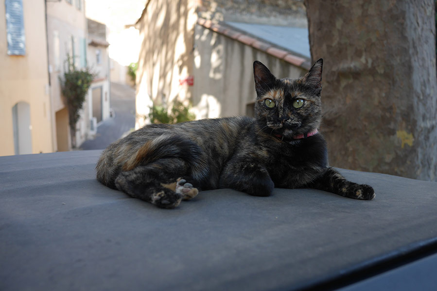 Florian Thomas - Photography