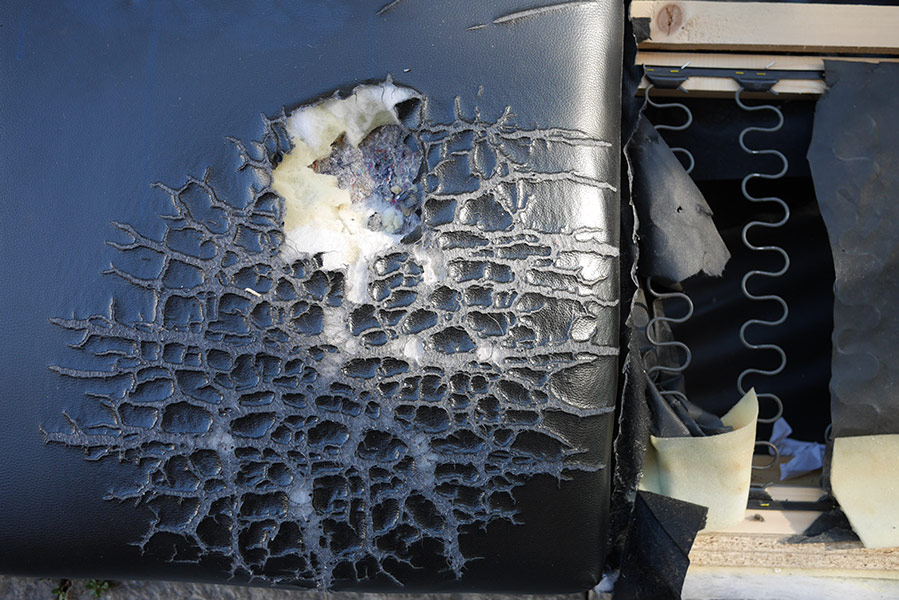 Florian Thomas - Photography