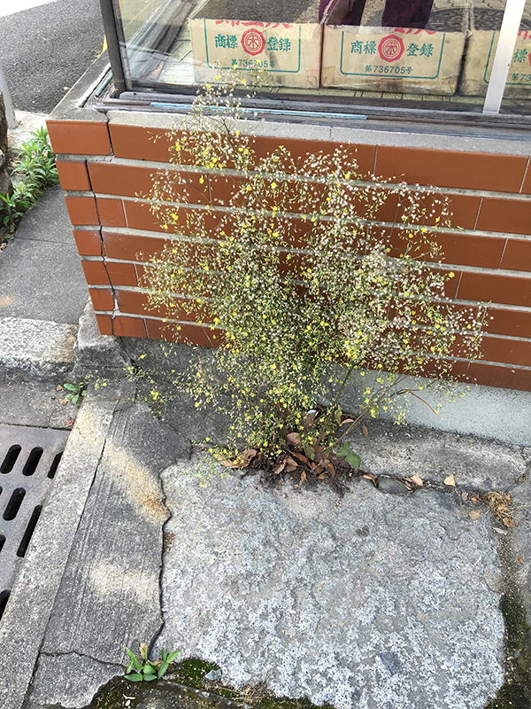 Florian Thomas - Photography